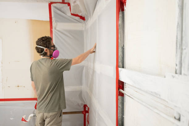 Best Mold Damage Restoration  in Miami Gardens, FL